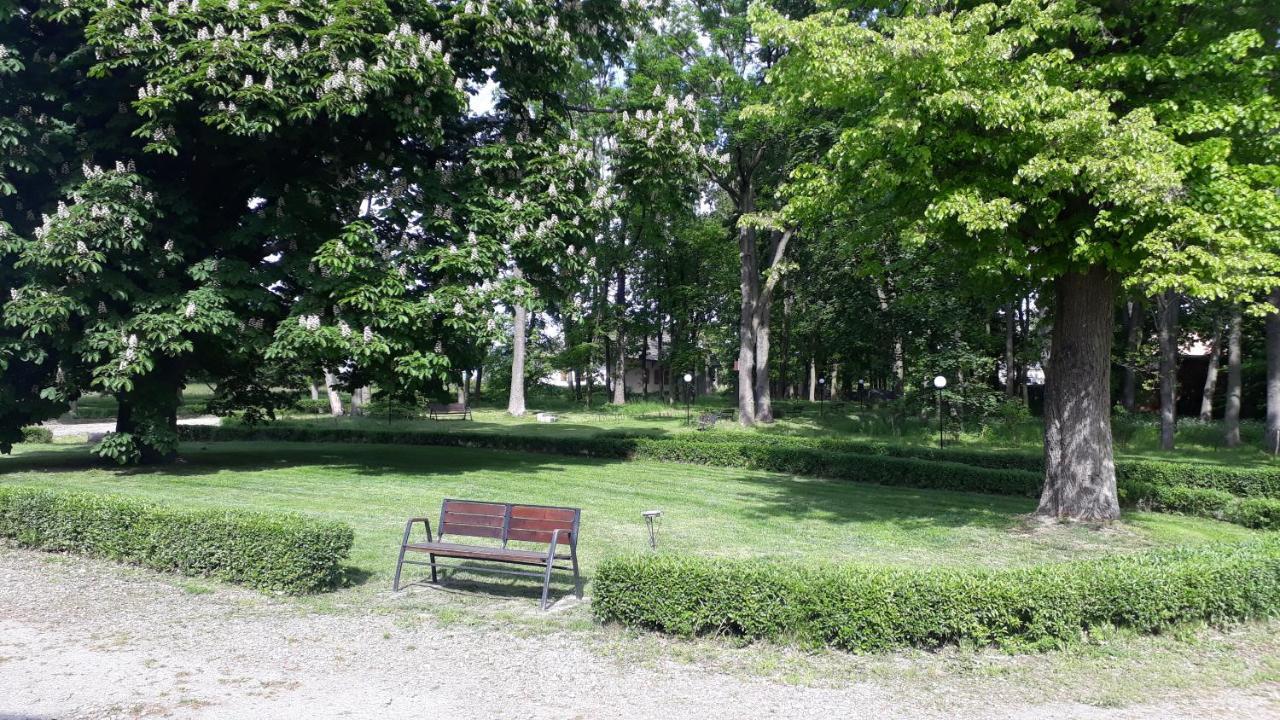 Dwor Strzyzew Panzió Zelazowa Wola Kültér fotó