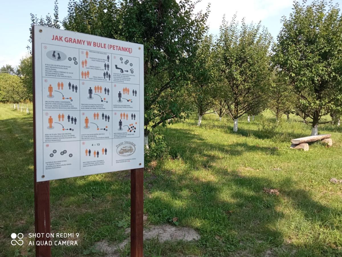 Dwor Strzyzew Panzió Zelazowa Wola Kültér fotó