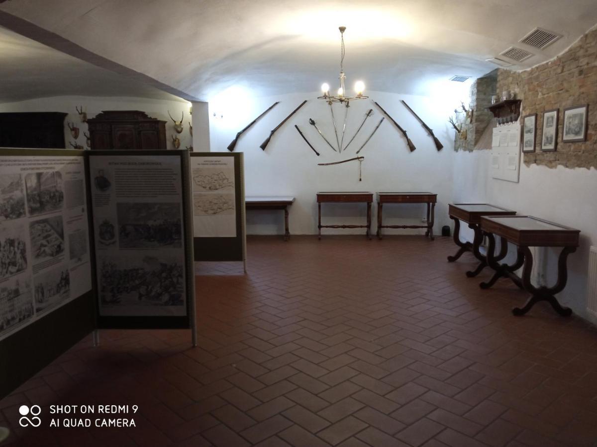 Dwor Strzyzew Panzió Zelazowa Wola Kültér fotó